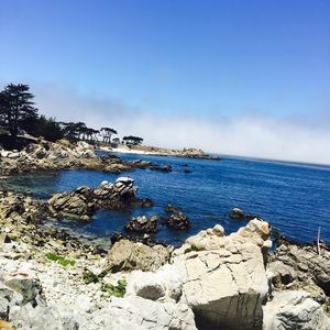 Meet your Posher, Susana